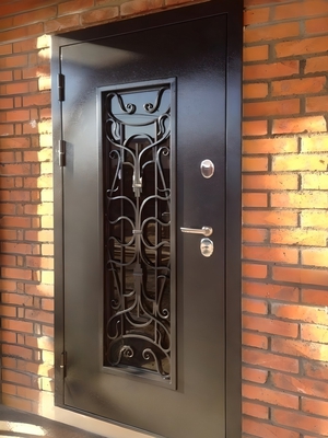 Фото дверей с порошковым покрытием