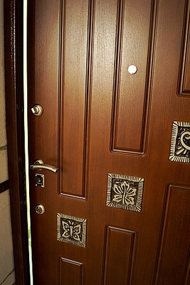Дверь с ковкой Дверь с ковкой