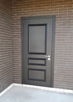 Дверь с металлобагетом