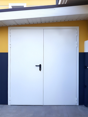 Двупольная огнестойкая дверь