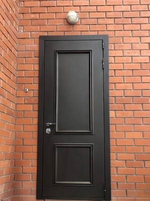 Металлофиленчатая дверь