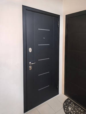 Порошковая дверь в квартире