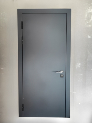 Серая порошковая дверь