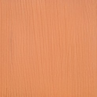 Клен медовый